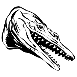 Basilosaurus