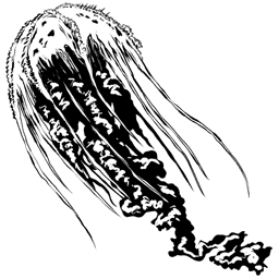 Cnidaria
