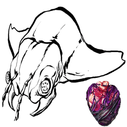 Corrupted Arthropluera