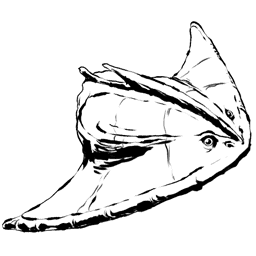 Diplocaulus