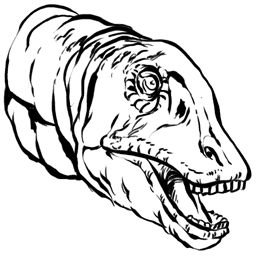 DiplodocusP