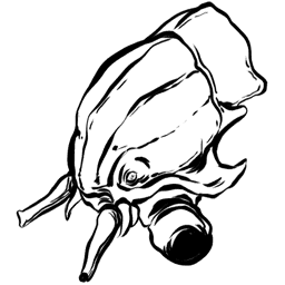 Eurypterid