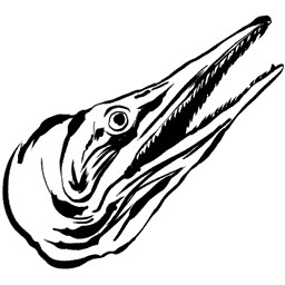 Ichthyosaurus