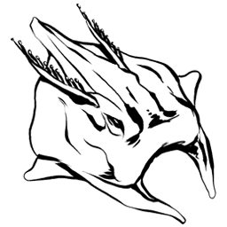 Manta