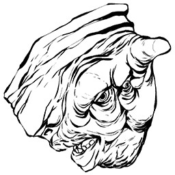 Megachelon