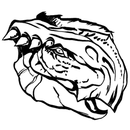 Morellatops