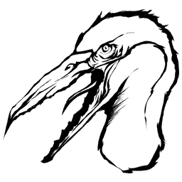 Pelagornis