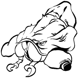 Pulmonoscorpius