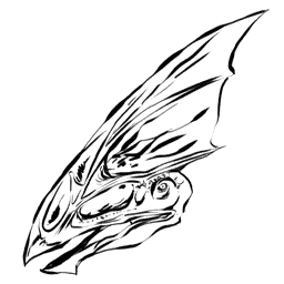 Tapejara