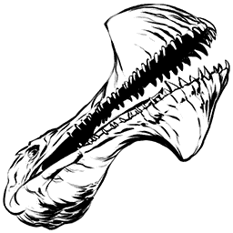 Tropeognathus