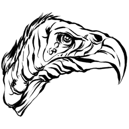 Vulture