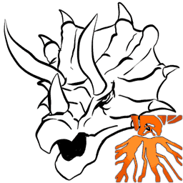 X-Triceratops